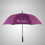 自動(dòng)商務(wù)傘超大高爾夫傘加固雙層抗風(fēng)戶外超大雨傘男士長(zhǎng)柄雙人傘