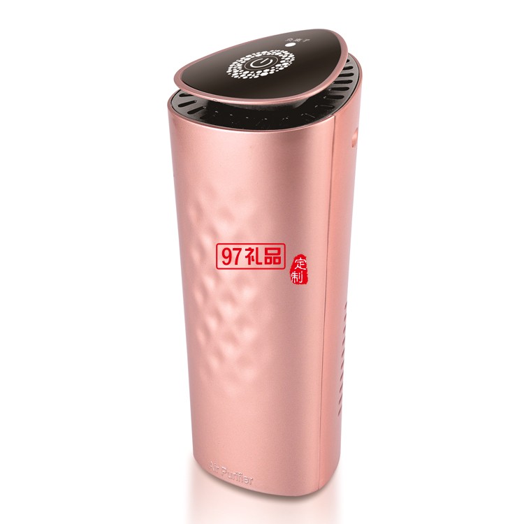 車(chē)家兩用凈化器