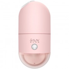 小型膠囊迷你手持掛燙機(jī)便攜式