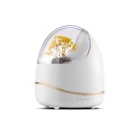 臥室辦公可香薰精油智能定時缺水斷電溫馨夜燈