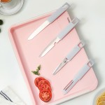 多功能雙面砧板含水果刀、鋸齒刀、輔食剪、水果刨刀等四個配件