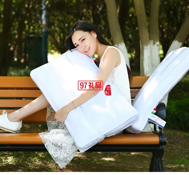 啄木鳥(niǎo)ZMN-MFZX-01精美高彈力全棉魔方羽絲枕芯定制公司廣告禮品